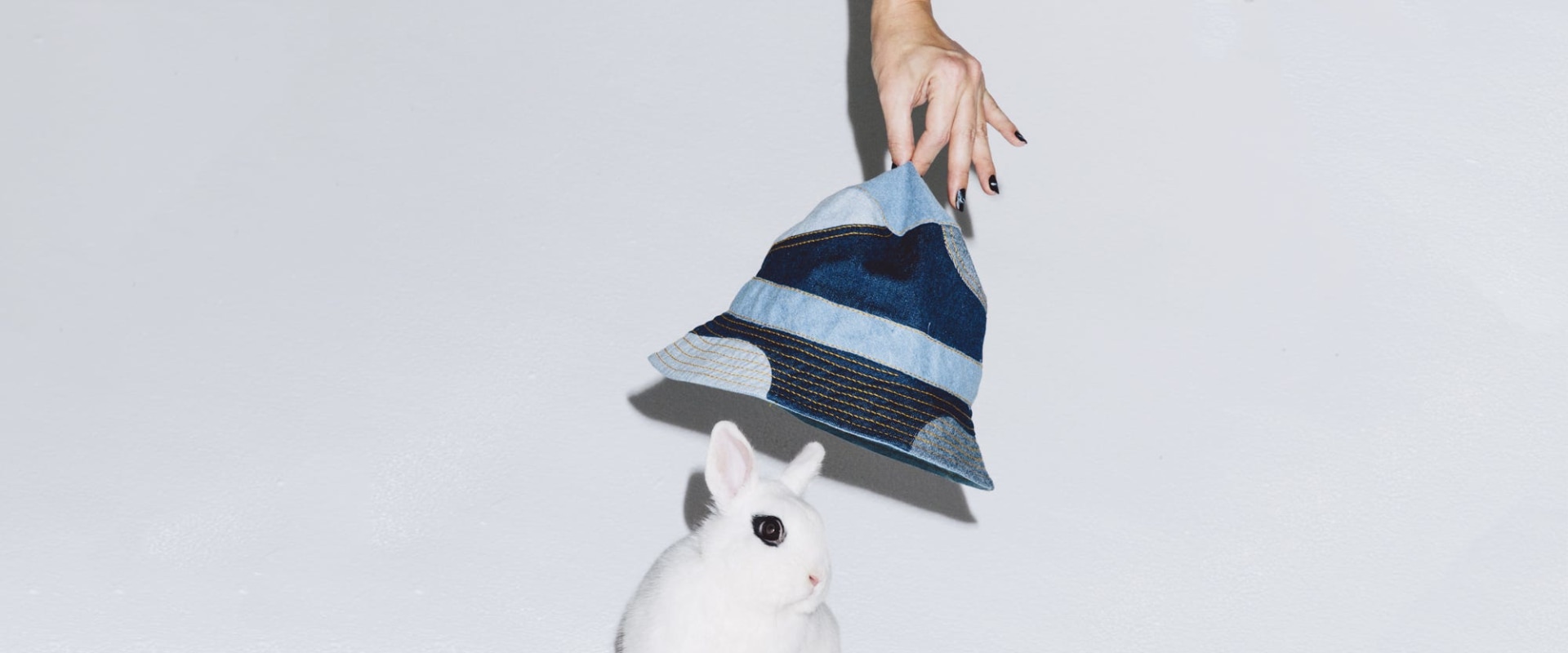 Where to Find Cruelty-Free Skincare Products in Houston, TX