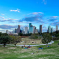 Vegan-Friendly Pet Boarding Facilities in Houston, TX