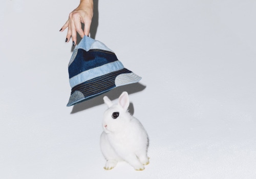 Where to Find Cruelty-Free Skincare Products in Houston, TX